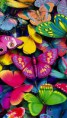 /album/wallpapers/butterflies-jpg/